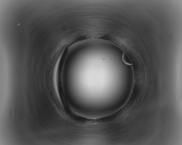 X0000086800742200704201903