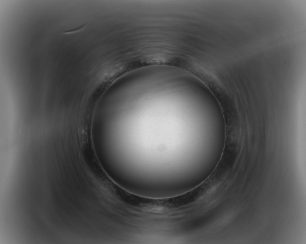 X0000086800743200704201903