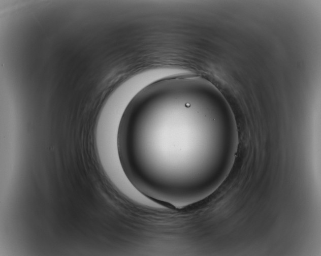 X0000086800744200704201903