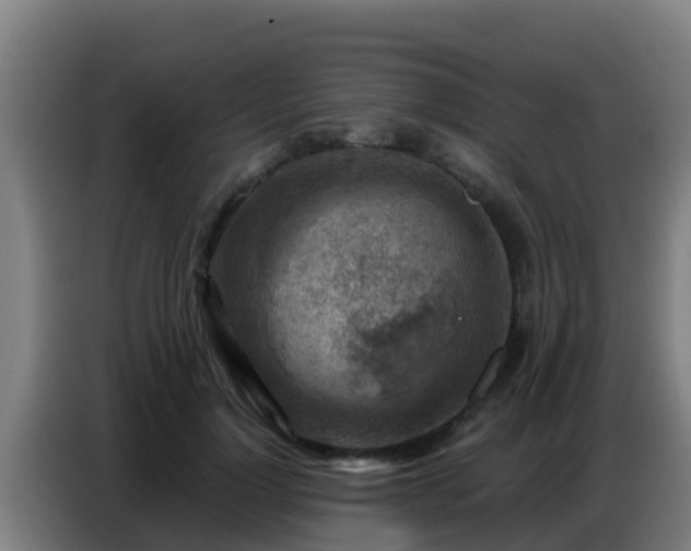 X0000086800748200704201903
