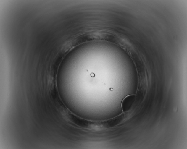 X0000086800749200704201903