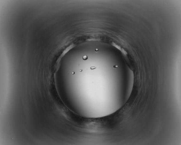 X0000086800750200704201903