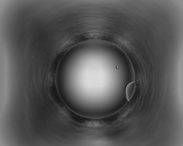 X0000086800751200704201903