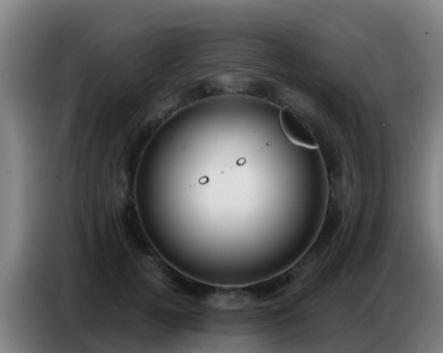 X0000086800752200704201903