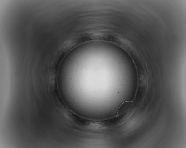 X0000086800753200704201903