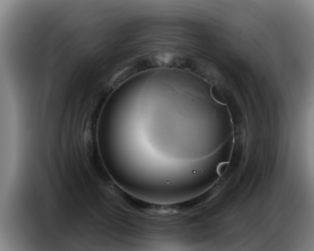 X0000086800754200704201903