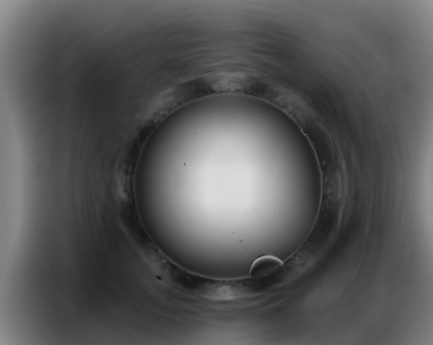 X0000086800755200704201903