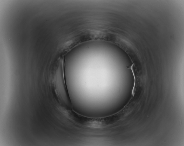 X0000086800756200704201903