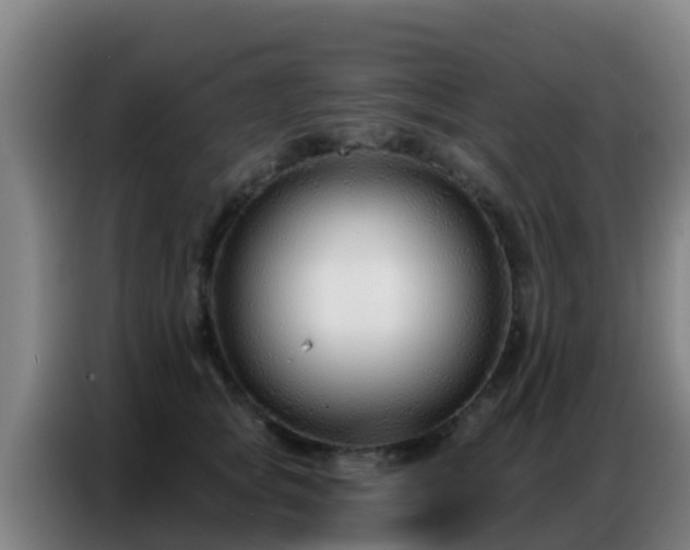 X0000086800757200704201903