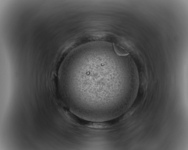 X0000086800758200704201903