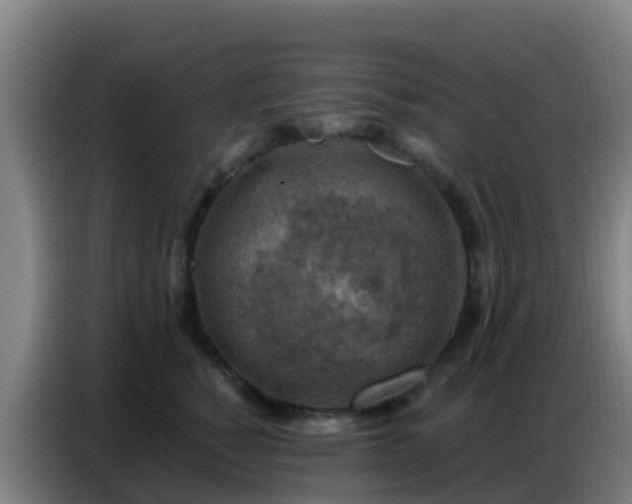 X0000086800760200704201903
