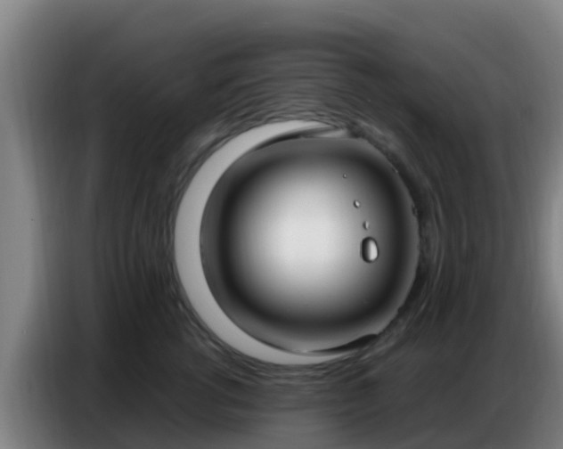 X0000086800762200704201903