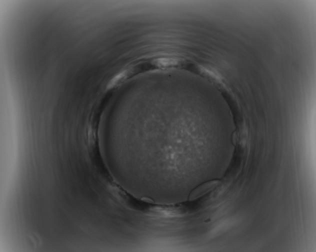 X0000086800763200704201903