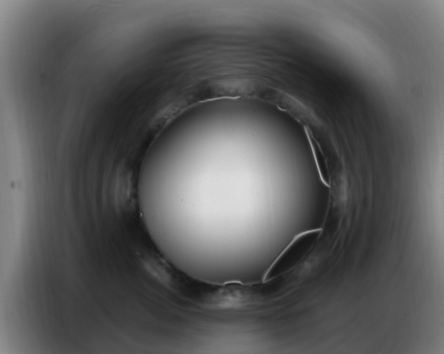 X0000086800764200704201903