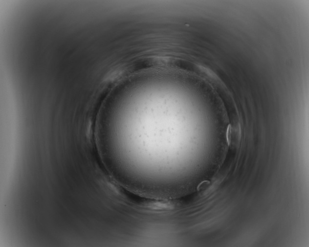 X0000086800765200704201903