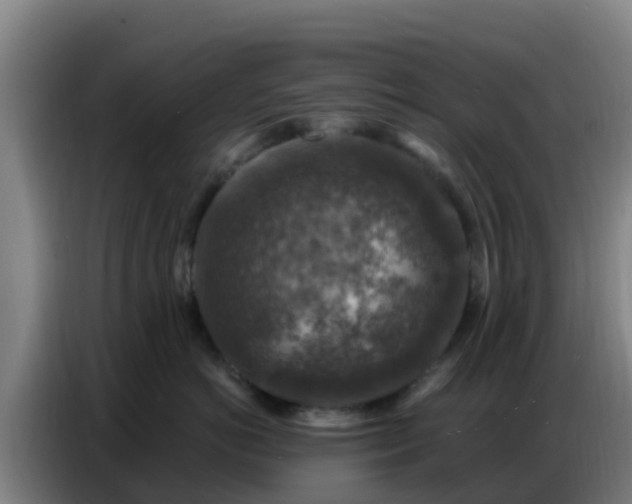 X0000086800766200704201903