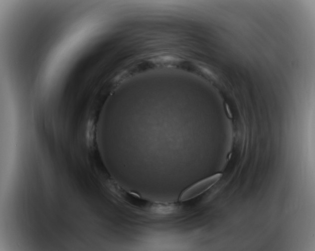 X0000086800767200704201903