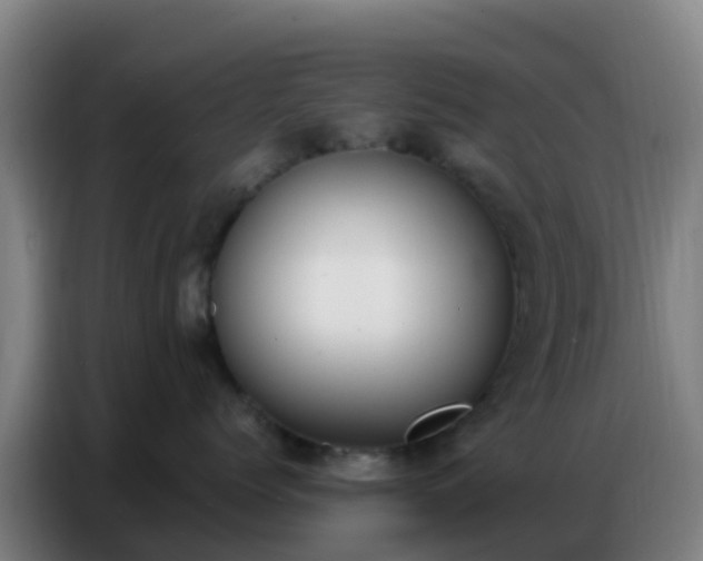 X0000086800768200704201903