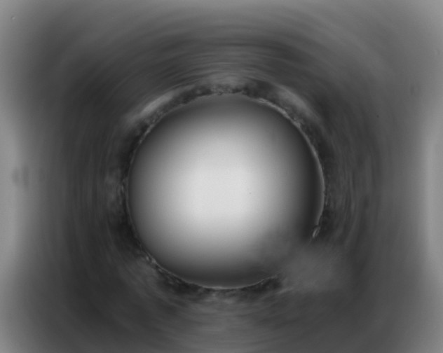X0000086800773200704201902