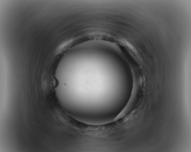 X0000086800775200704201902