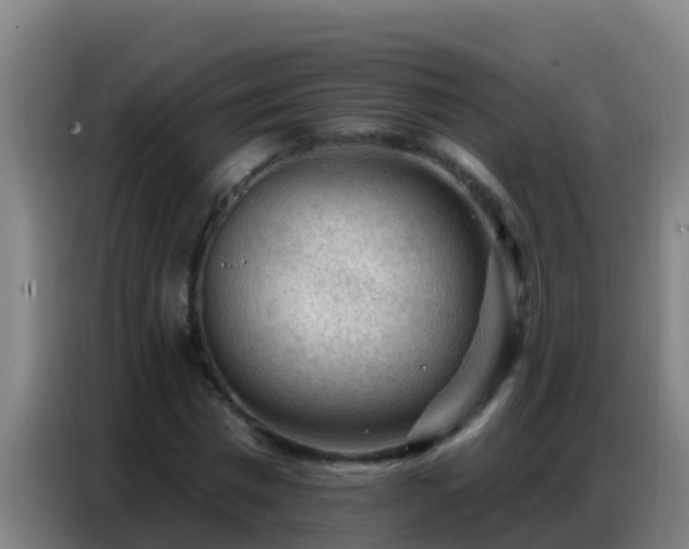 X0000086800777200704201902