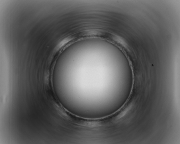 X0000086800778200704201902