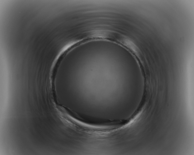 X0000086800779200704201902