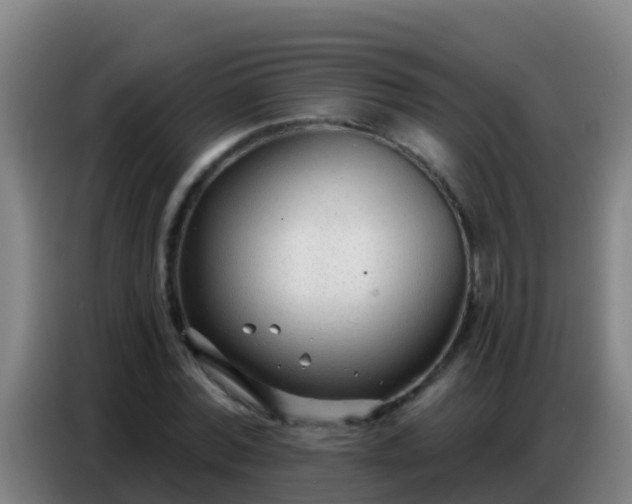 X0000086800780200704201902