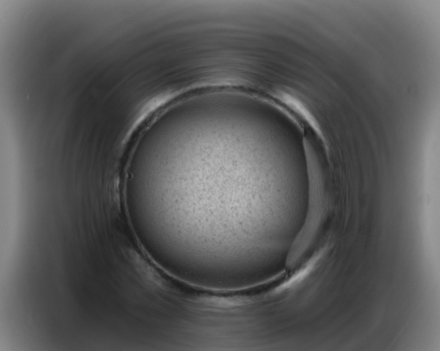 X0000086800781200704201902