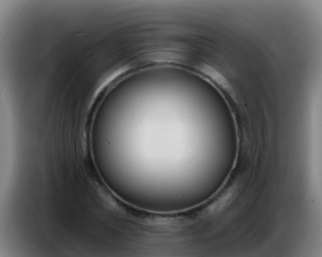 X0000086800782200704201902