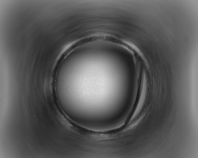 X0000086800783200704201902
