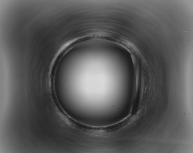 X0000086800784200704201902