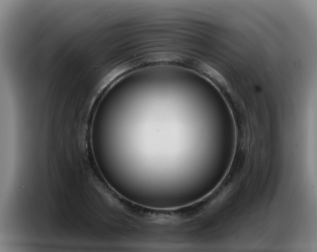 X0000086800786200704201902