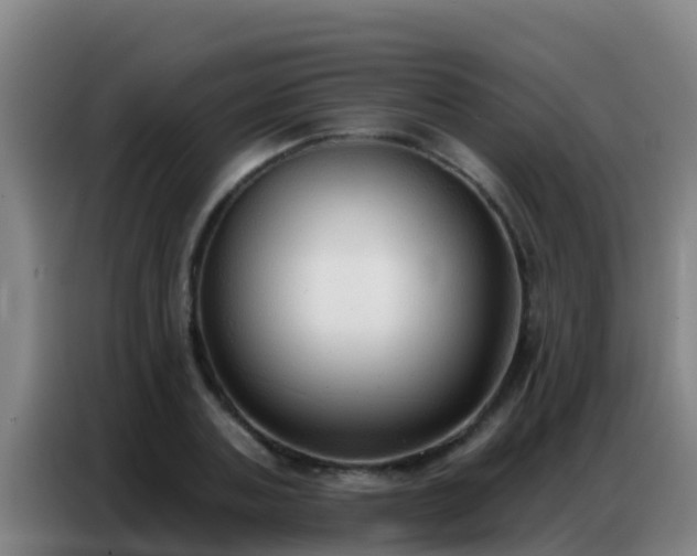 X0000086800787200704201902