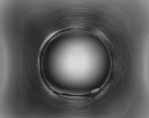 X0000086800788200704201902