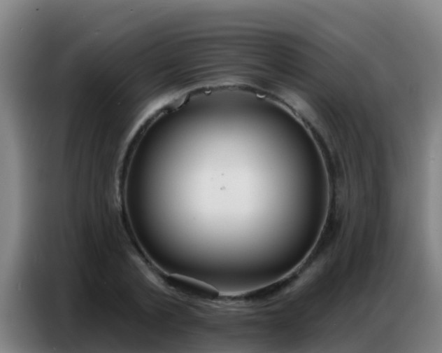 X0000086800789200704201902