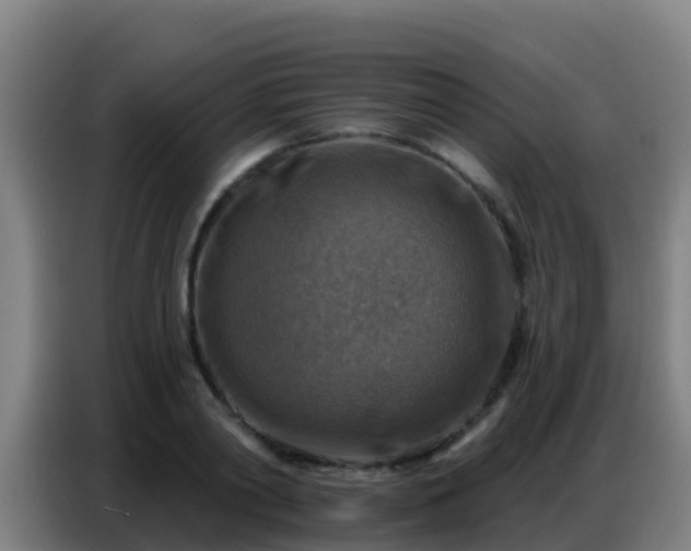X0000086800790200704201902