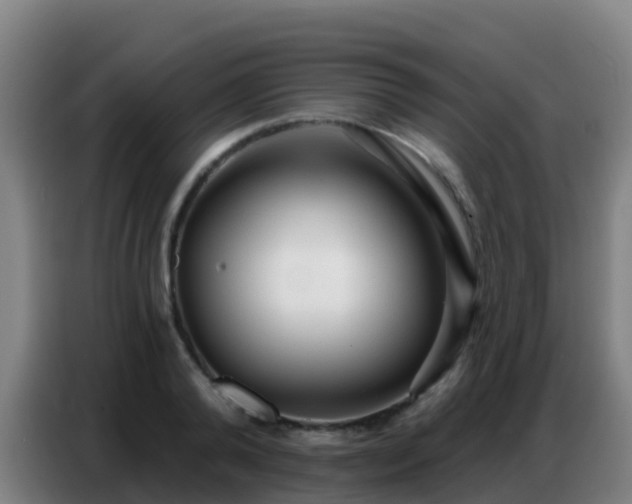 X0000086800792200704201902