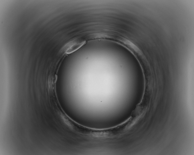 X0000086800793200704201902
