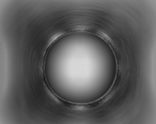 X0000086800794200704201902