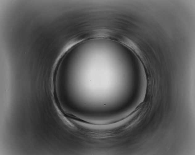 X0000086800795200704201902