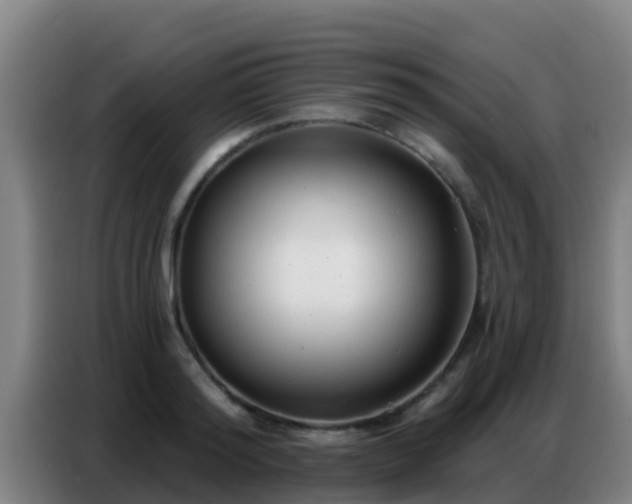 X0000086800796200704201902
