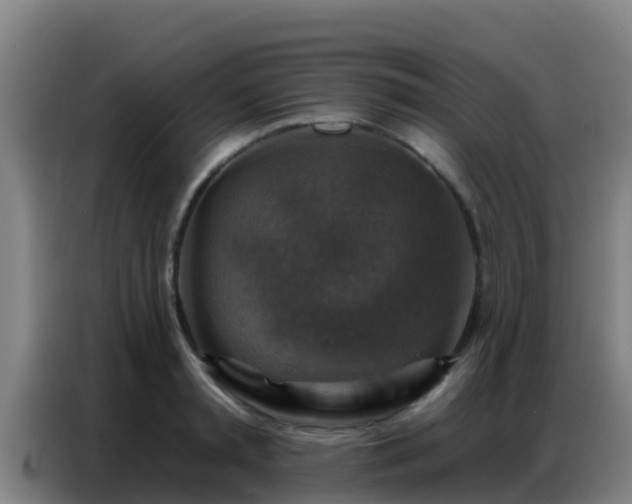 X0000086800797200704201902