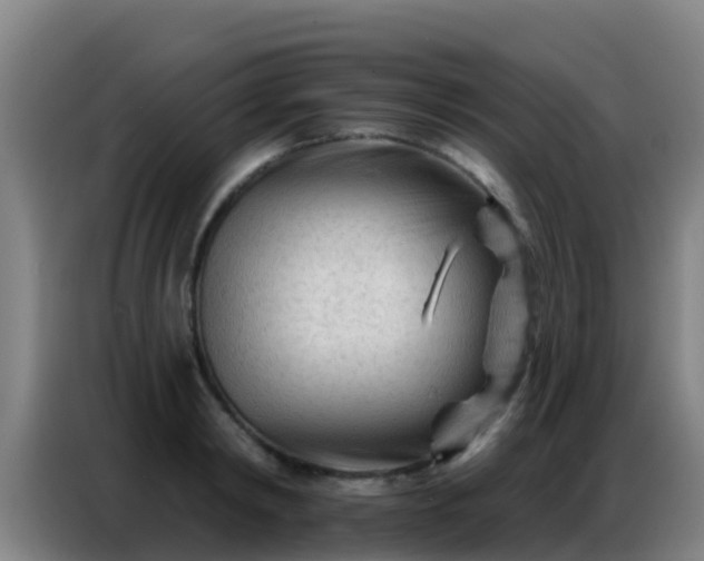 X0000086800798200704201902