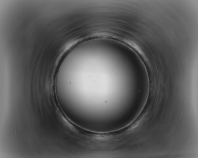 X0000086800799200704201902