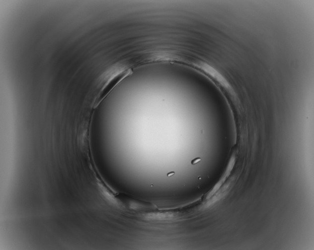 X0000086800801200704201902