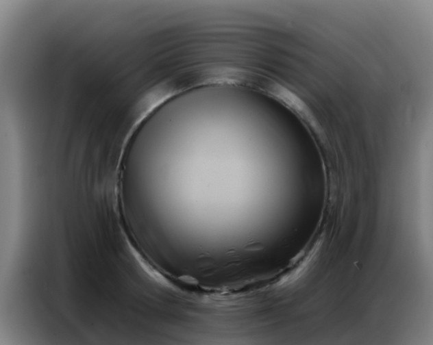 X0000086800802200704201902