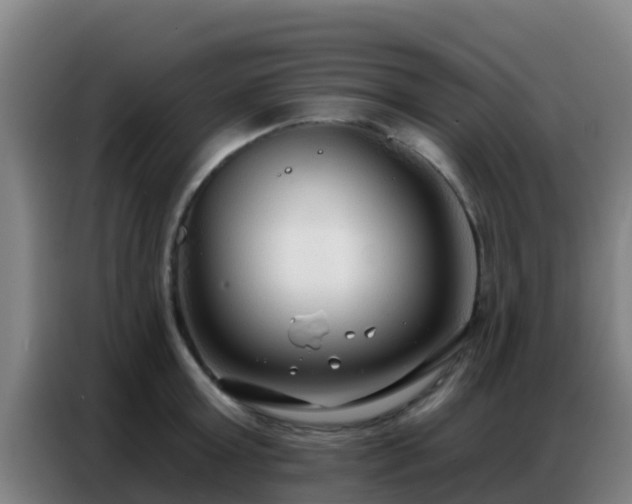 X0000086800803200704201902