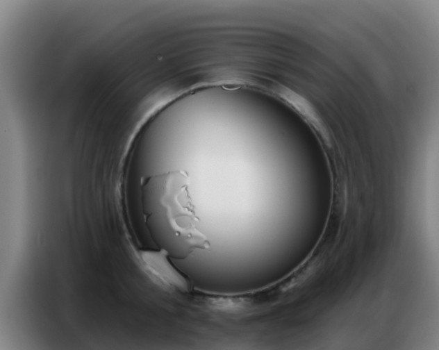 X0000086800805200704201902
