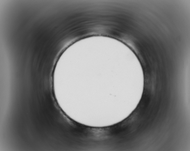 X0000086800807200704201902